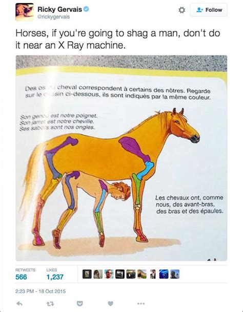 3d Horse Porn